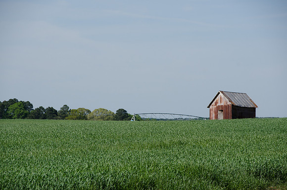 Bostwick GA-170409-149