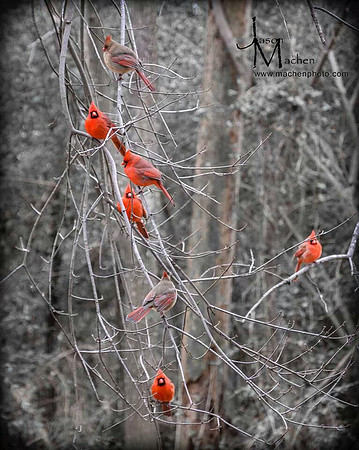 untitled-20140106-017