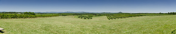 Chattooga Belle Farm-88